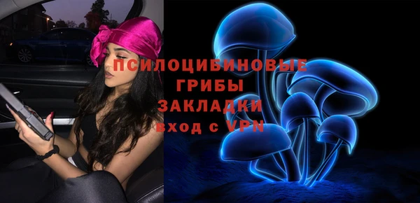 Альфа ПВП Баксан