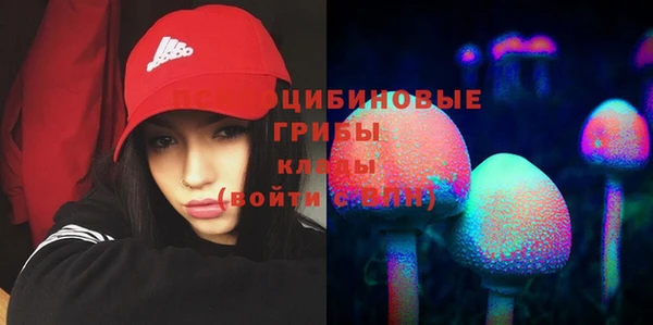 Альфа ПВП Баксан