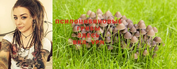 гашик Балахна