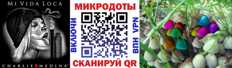Галлюциногенные грибы Psilocybe  гидра   Райчихинск 